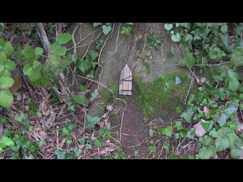 Tiny Door at the base of a Tree - Pixies and Elves in the woods