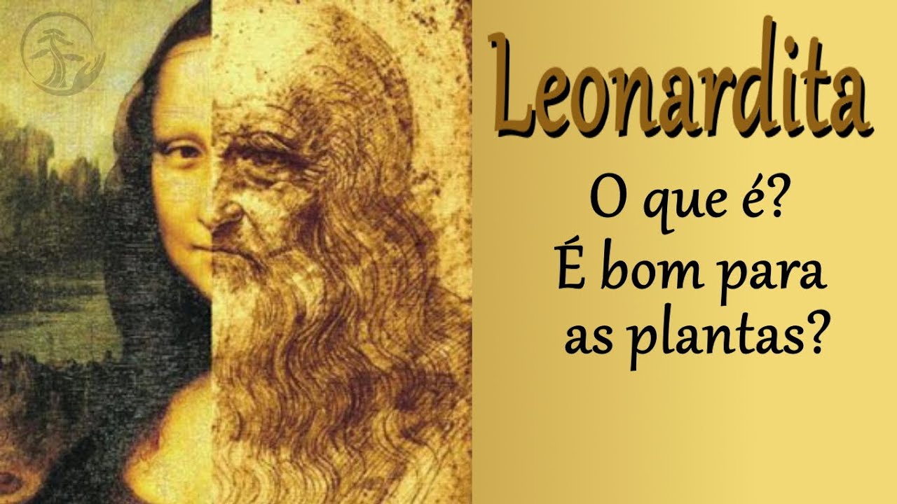 Leonardita, o que é? Para que serve?