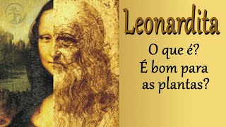 Leonardita, o que é? Para que serve?