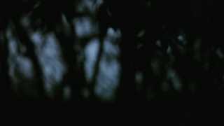 Starwalker - Introduction