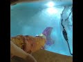 How mermaids move with no legs!!!! MERMAID VLOG
