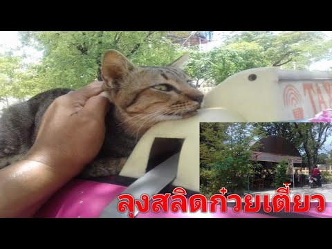 คลิกเพื่อดูคลิปวิดีโอ