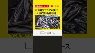 北海道に秋の味覚到来！「大きい魚もけっこういたので今後に期待」根室・花咲港でサンマ約254トン水揚げ