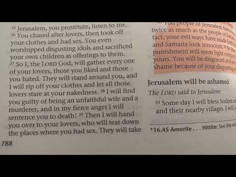 Reading Ezekiel 14-20