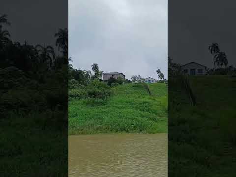 Entre Rios e Floresta! A BELEZA da Comunidade do PALHAL no Coração da AMAZÔNIA!