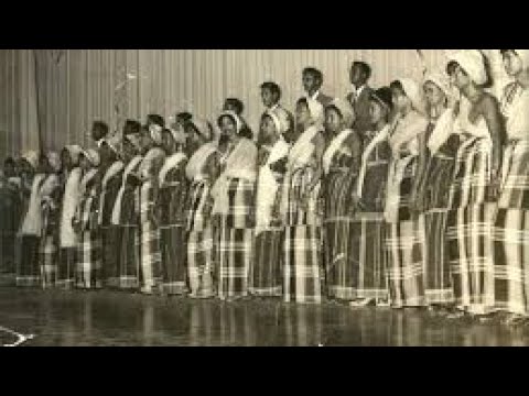 HEES WADANI HOBOLADA WAABERI | SAXANSAXO | Official Somali Music Video “