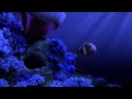 Finding Nemo Nemo Egg Scene In Beautiful HD
