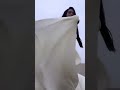 Pavithra Hot