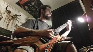 Amon Amarth - Wanderer (cover)