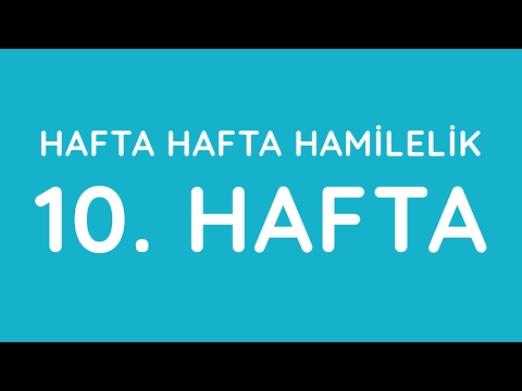 10.Hafta - Hafta Hafta Gebelik - Hamilelik | Anneysen.com