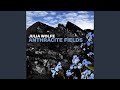 Anthracite Fields: I. Foundation 