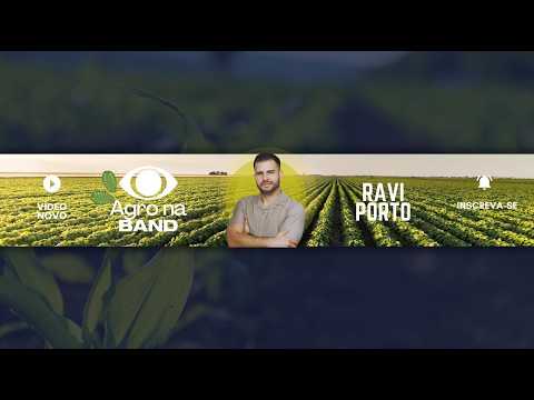 Agro na Band com Ravi Porto - Especial Júnior Vianna