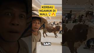 Download lagu COW RAGES IN MALL! EXPENSIVE ITEMS DESTROYED! mp3 Download lagu COW RAGES IN MALL! EXPENSIVE ITEMS DESTROYED! mp3