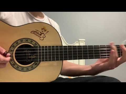 Viola Rozini Tião Carreiro RV181