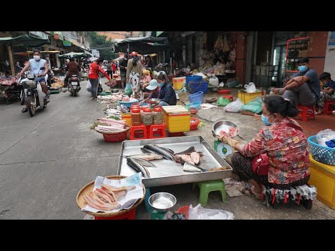 Evening Street Food Market Phsa Orussey  - Walk Around Orussey Fish Market