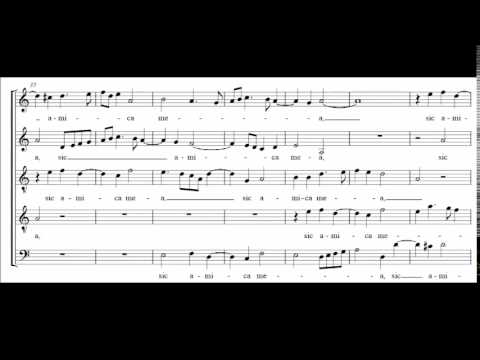 Palestrina - Motet « Sicut lilium inter spinas » (Cantiques 2:2)