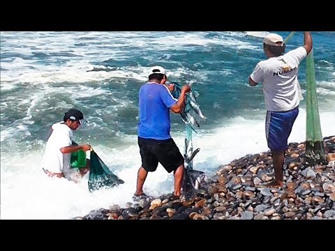 guardare !! queste azioni incredibili rete da pesca