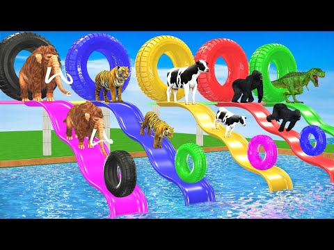 Choose The Right Tire with Cow Tiger Elephant Mammoth Buffalo Gorilla  Wild Animals Scary Teacher