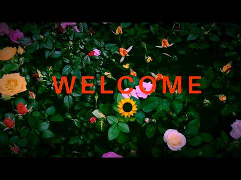 Simple Dried Mix Fruit Cake Recipe