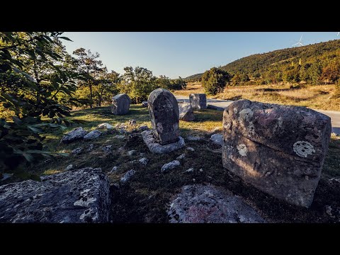 Na rubu znanosti: Od Ilira do Slavena