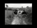 New Farming Methods Arva Co Cavan Ireland 1967