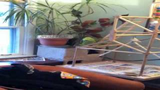 On second thought, scratch that, he'll probably burn through the minutes gabbing and giggling.