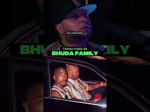 Boletin De Ultima Hora - Buddhas Family 2