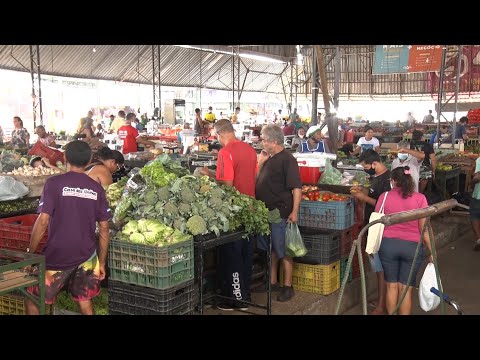Alto preço de verduras e frutas leva comerciantes a repassarem custos para consumidores 26 02 2022