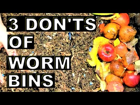 Stop doing these 3 things to be a better worm farmer