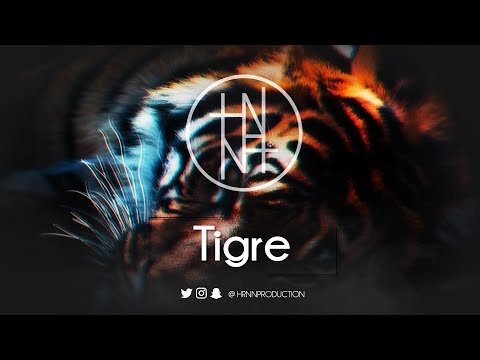 Lacrim Type Beat 2019 - "Tigre" (Prod. HRNN)