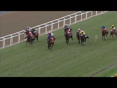 2020.08.29 Champions Cup (RSA) - Golden Ducat