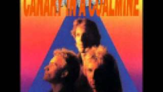 the police - canary in a coalmine (zenyatta mondatta).wmv