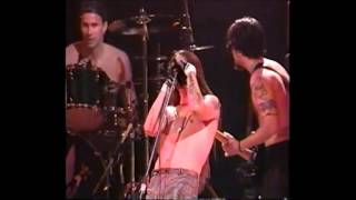RHCP Warped Live at Madison Square Garden