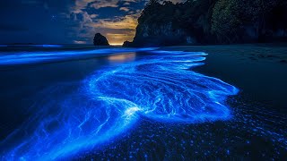 Let Go of Stress and Sleep Deeply Tonight | Soothing Music for Anxiety, Rest & Emotional Healing