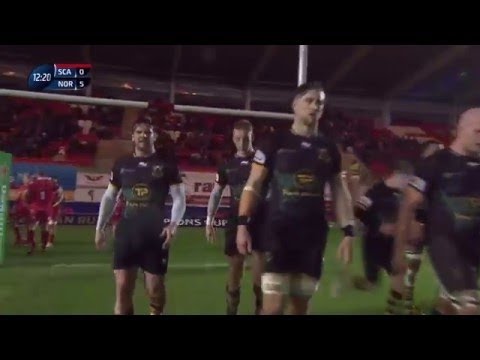 Harry Mallinder highlights try - Scarlets vs Northampton Saints 23.01.2016 HD