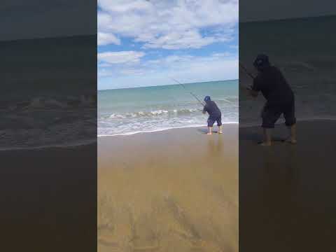 25/12/2025 puerto San Julián Santa Cruz argentina  Robalito lindo