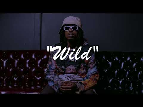 (Free) Daboii Type Beat - "Wild" SOB x RBE Type Beat