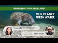 Wednesdays for the Planet | Our Planet – Fresh Water