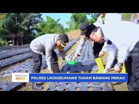 POLRES LHOKSEUMAWE TANAM BAWANG MERAH KETAHANAN PANGAN