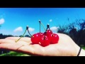 Cherry Picking In Wisconsin