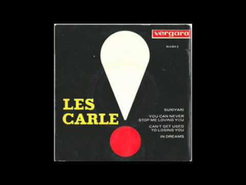 You Can Never Stop Me Loving You   Les Carle