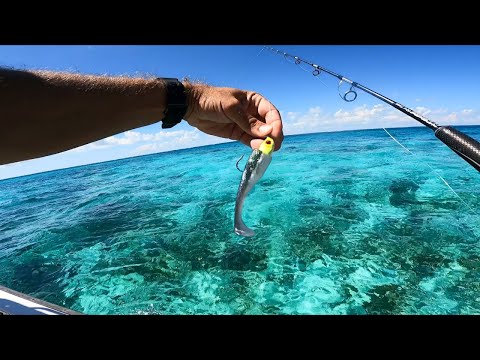 Patch Reef & Offshore Trolling in Key Largo! {Catch Clean Cook}