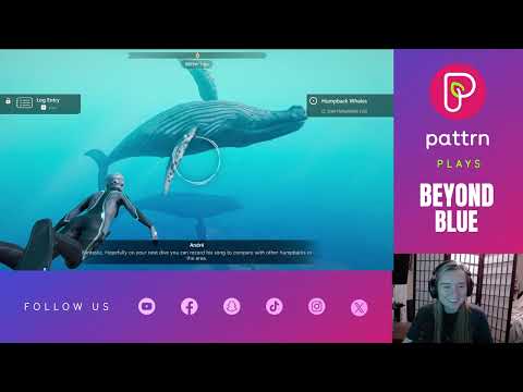 We crashed a whale date I Beyond Blue Gameplay Walkthrough Part 1