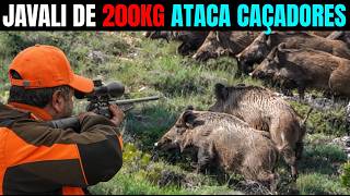 CAÇA AO JAVALI GIGANTE NAS FAZENDAS (AÇÃO DE ELIMINAR JAVALIS)
