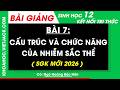 Bài giảng Sinh học 12 Bài 7. Cấu trúc và chức năng của nhiễm sắc thể