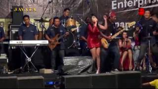 Download lagu BOJO KETIKUNG Lia Capucino Dangdut Hot Terbaru mp3