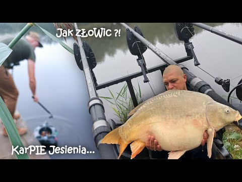KIT for EVERY water / HOW TO FISH TO CATCH / Carp fishing in Wielkopolska / Borowy Staw
