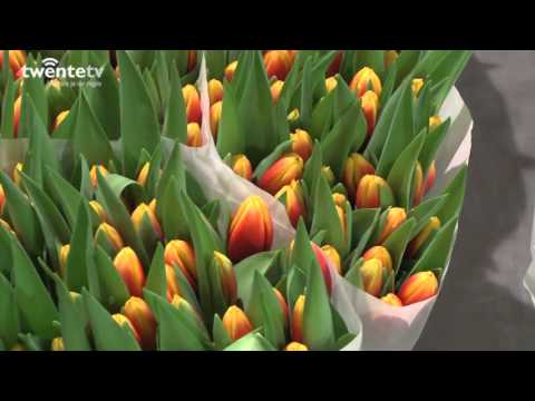 TwenteTV - 24-03-2016 - Opvallend Ondernemen Kempers Bloemengroothandel