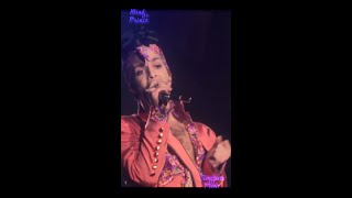 💜Baby I’m A Star Push(Prince &amp; The NPG live@GlamSlam '92)💜  #TheSanctuaryofPrince #MindofPrince #NPG