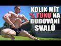 KOLIK MÍT % TUKU NA TĚLE PRO MAXIMÁLNÍ BUDOVÁNÍ SVALŮ